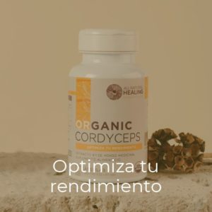 organic cordyceps