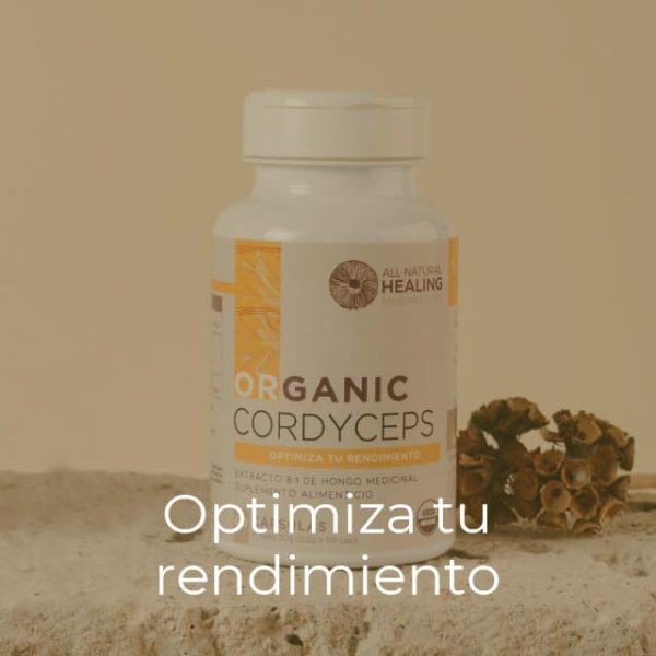 Organic Cordyceps - Imagen 2
