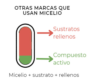 micelio más sustratos