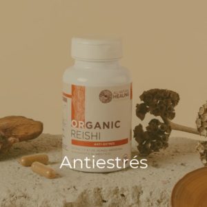 organic reishi